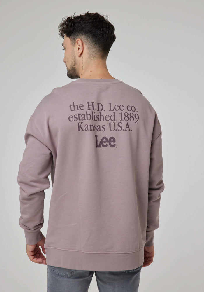 Polerón Hombre Logo Loose Purple Storm