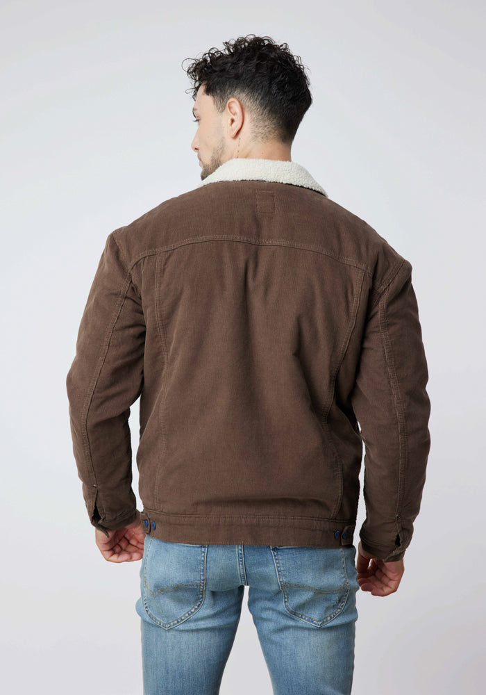 Chaqueta Hombre Relaxed Cotelé Jacket Brown