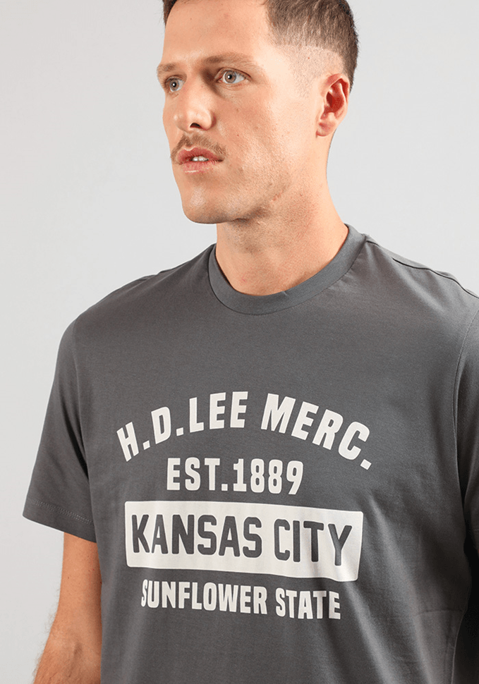 Polera Hombre Easy Tee I Grey Dark